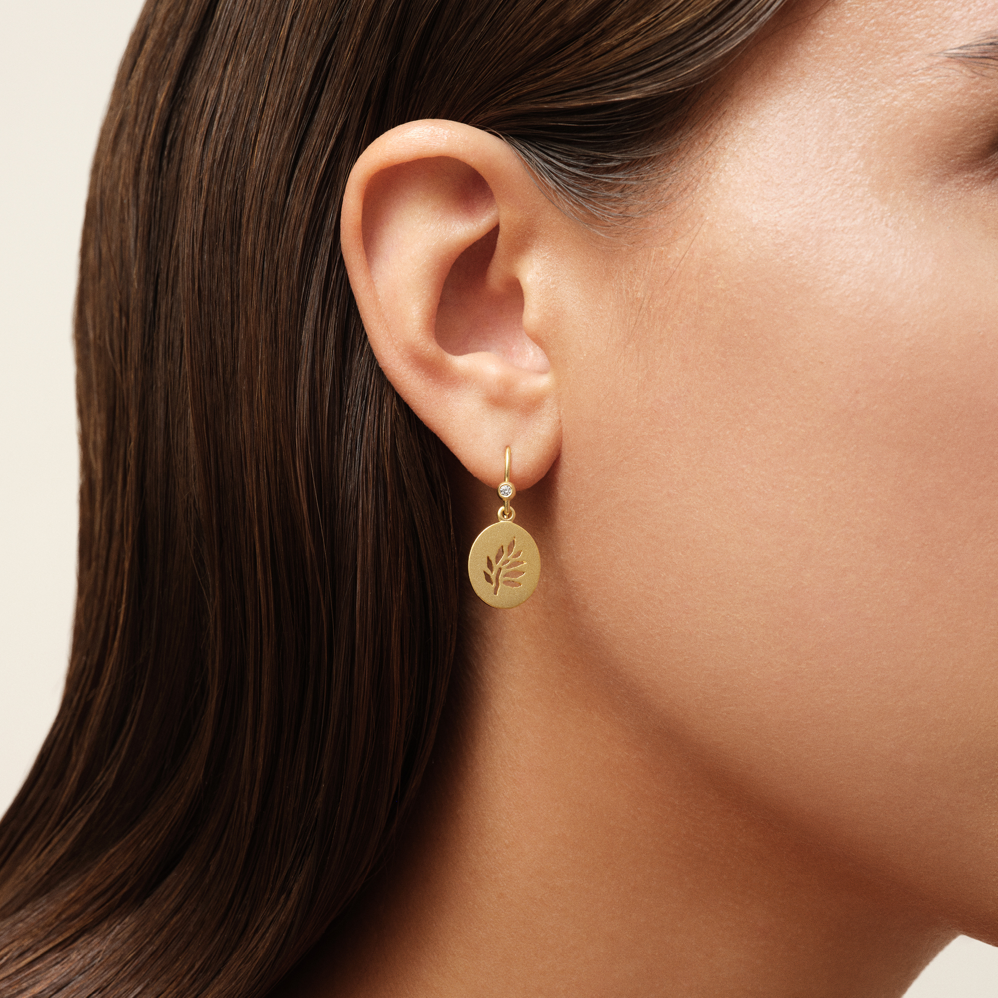 Tree of Life Signet Earrings i forgyldt sølv båret i øret