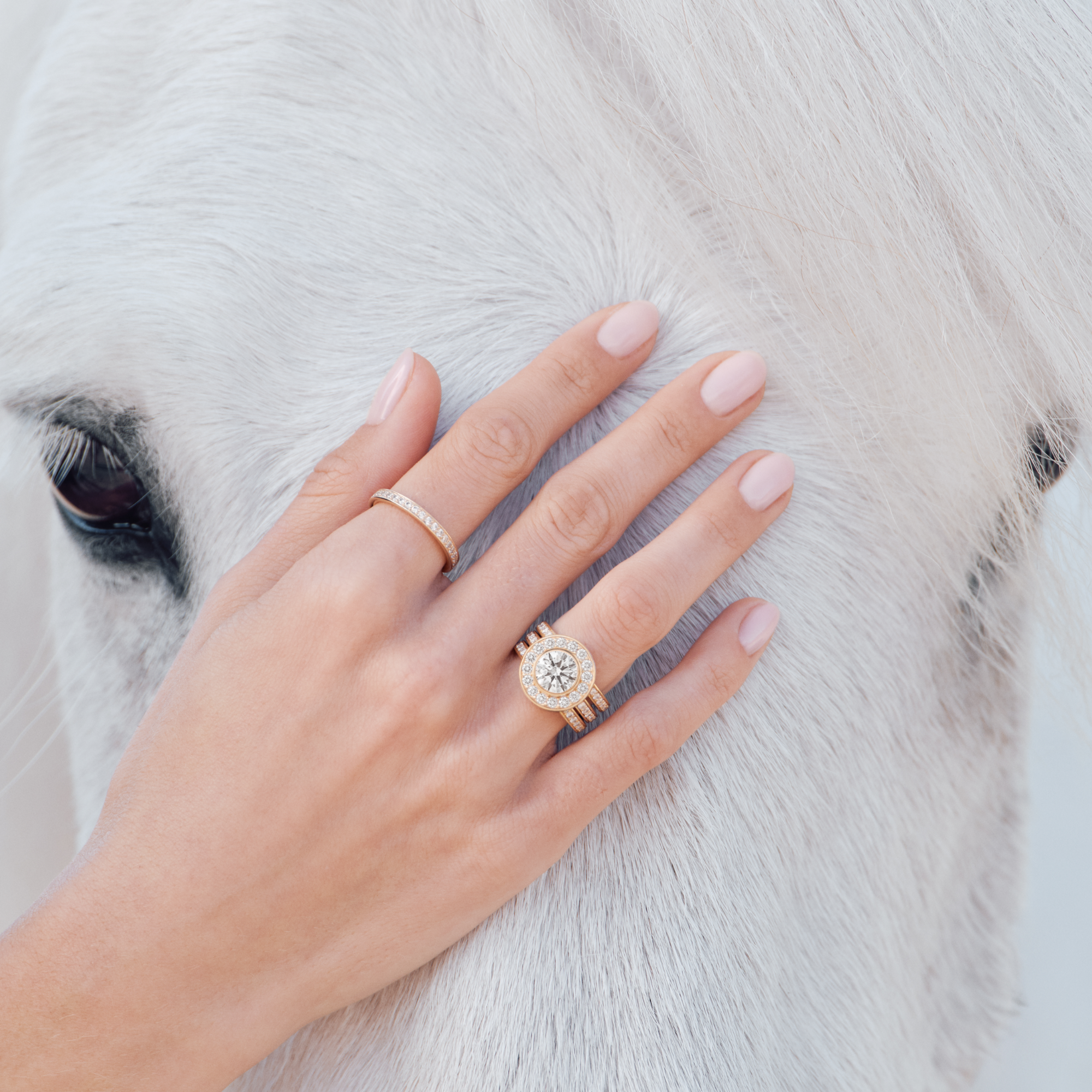Heritage J.S. Ring i 18K gulguld båret på hånd, der aer en hvid hest, sammen med en tynd diamantring