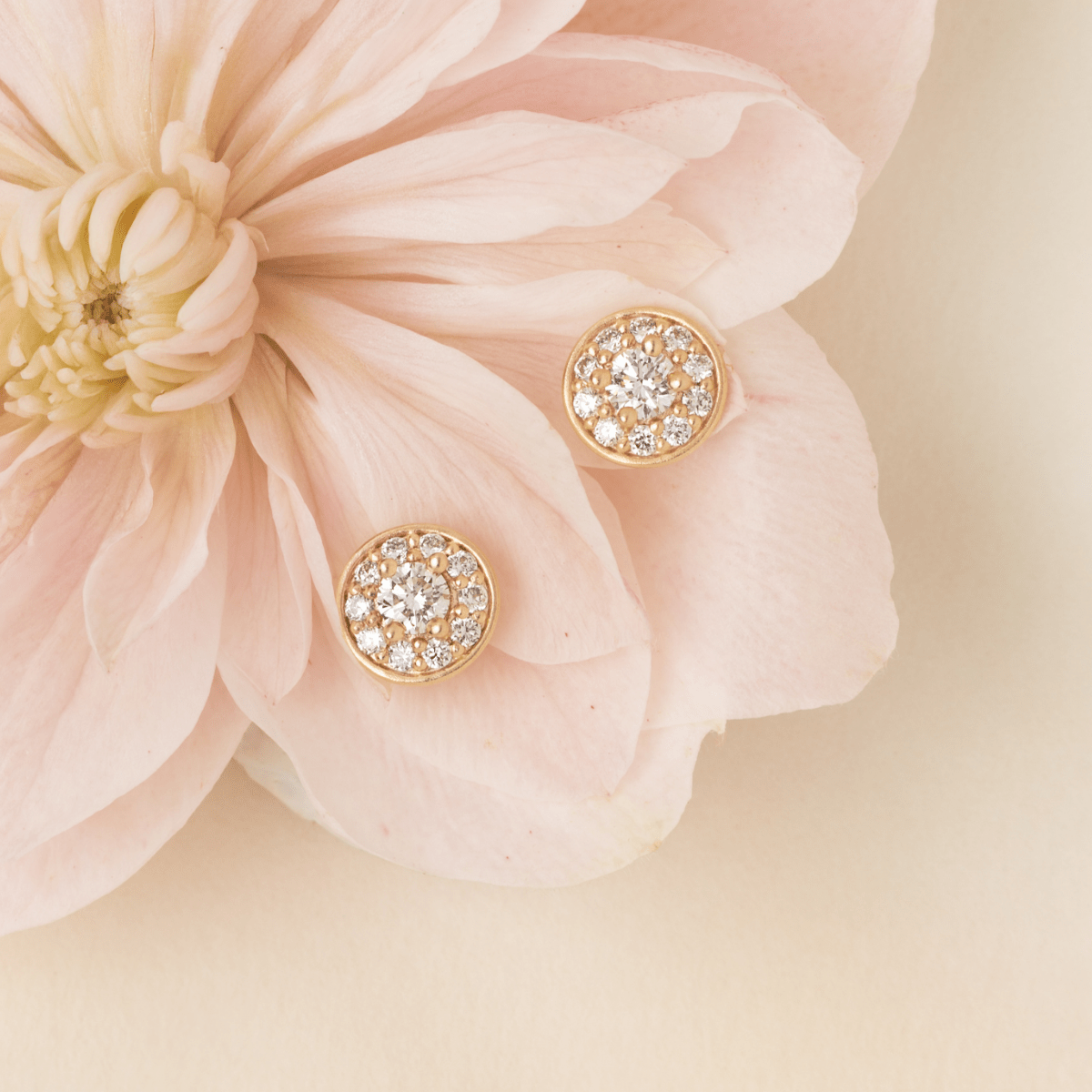 Lulia Halo Earstuds i 14kt guld placeret på lyserød blomst, stilleben
