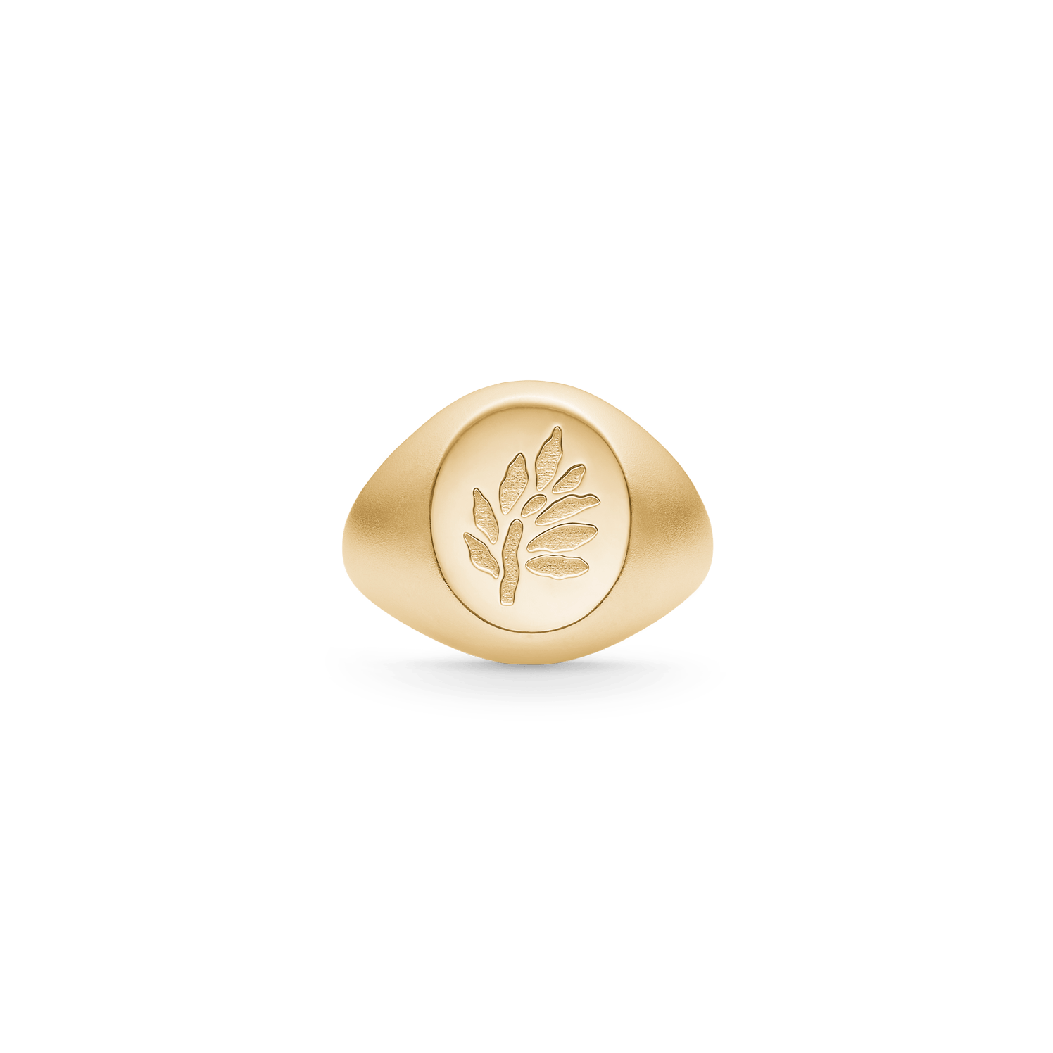 Tree of Life Signet Ring i forgyldt sølv med graveret Tree of Life-motiv, set ovenfra