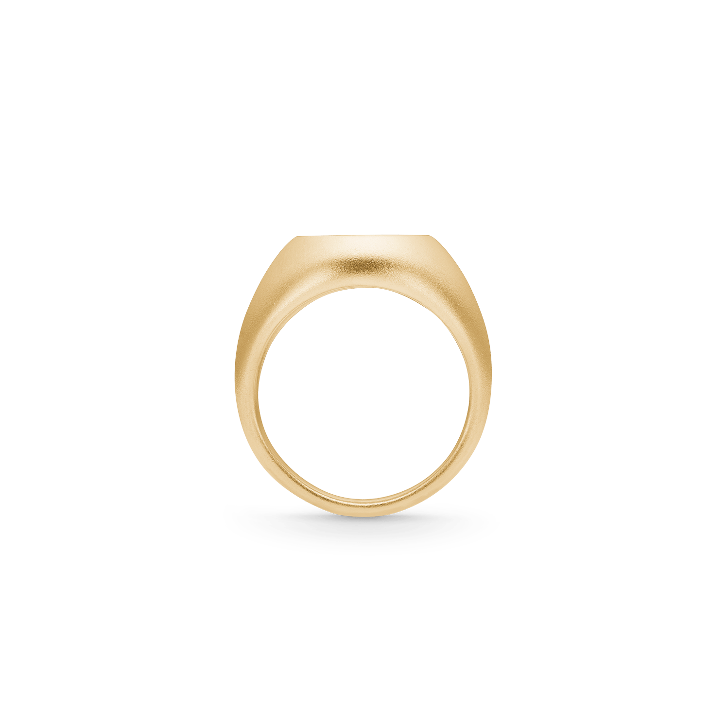 Tree of Life Signet Ring i forgyldt sølv, profil af ringskinnen