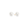 Elin Earstuds White Freshwater Pearls